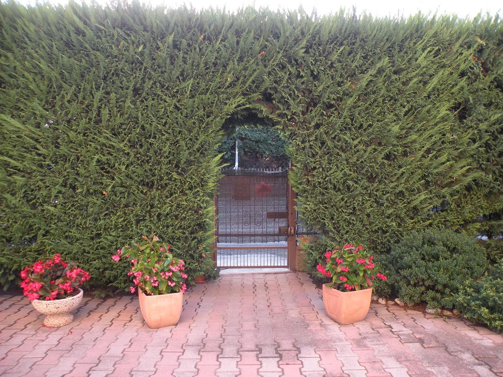 Vila Casa Oriana Rosolina Exteriér fotografie